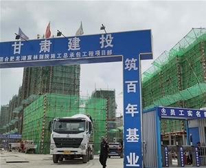 合肥龍湖(hu)宸林別(bie)院(yuan)